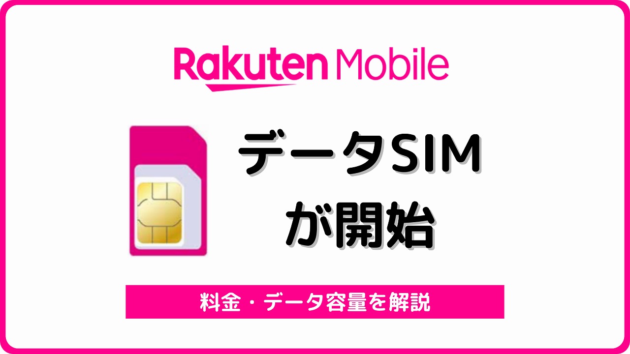 楽天モバイル データ通信専用SIM データSIM