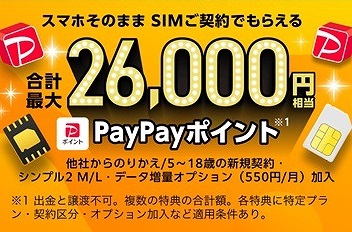 ワイモバイル ヤフーモバイル SIM 26000円