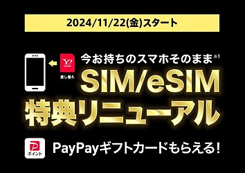 ワイモバイル ブラックフライデーキャンペーン SIMのみ